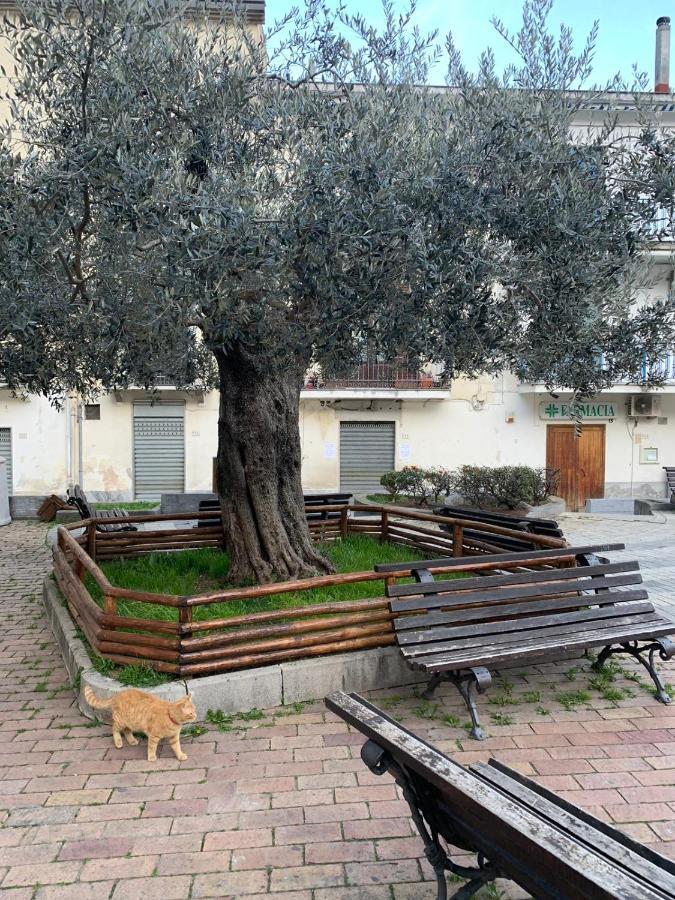 B&B Il Vicoletto Olevano sul Tusciano Εξωτερικό φωτογραφία